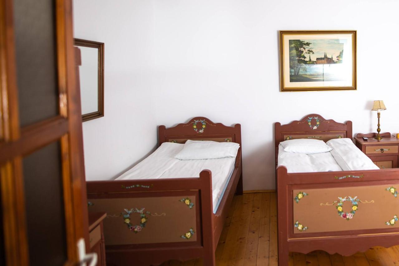 Pensiunea Sachsenhof Bagaciu Εξωτερικό φωτογραφία