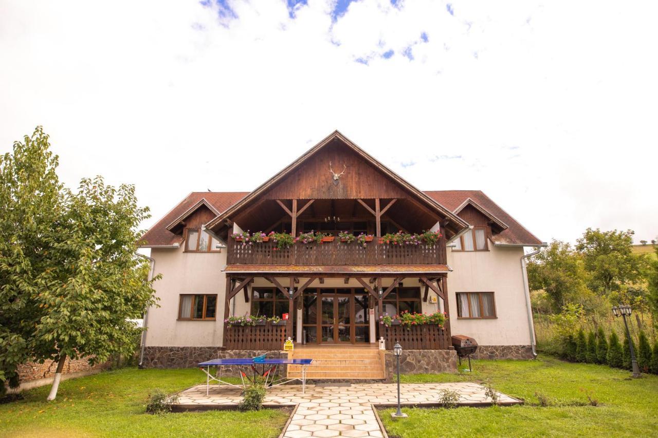 Pensiunea Sachsenhof Bagaciu Εξωτερικό φωτογραφία