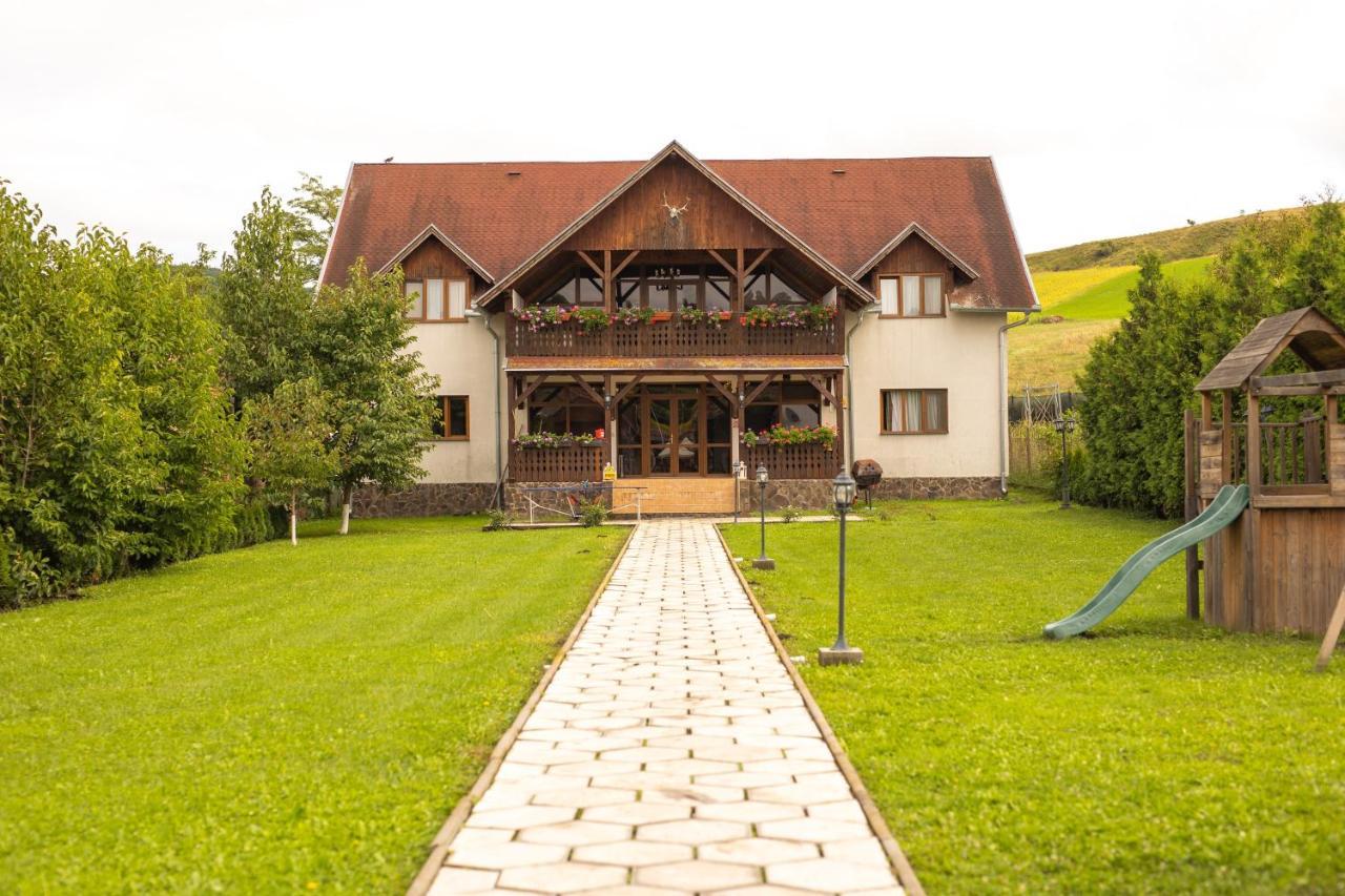 Pensiunea Sachsenhof Bagaciu Εξωτερικό φωτογραφία